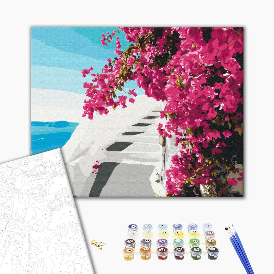 Painting by numbers Santorini flowers (BS52717)