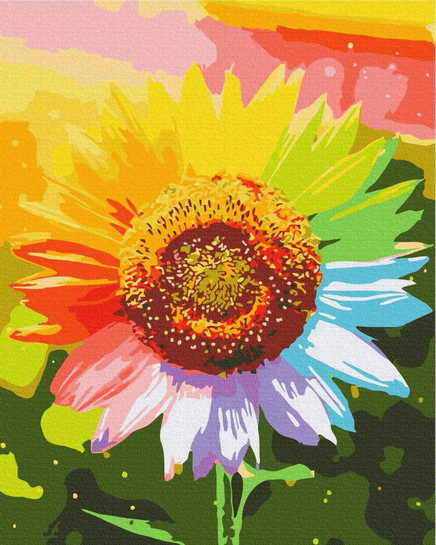 Painting by numbers Rainbow sunflower (BS225)