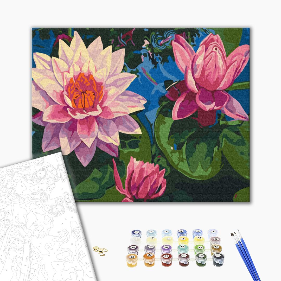 Painting by numbers Water lily (BS7282)