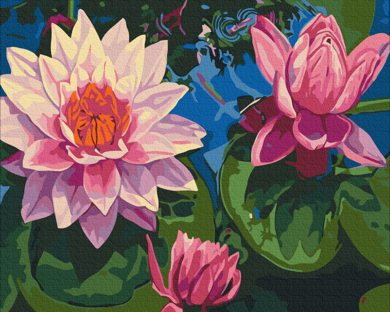 Painting by numbers Water lily (BS7282)