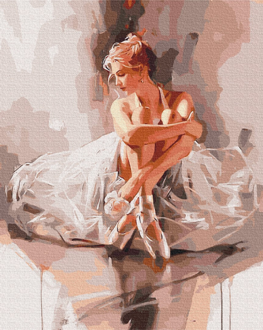 Painting by numbers Ballerina in a cloud of tenderness (BS52894)