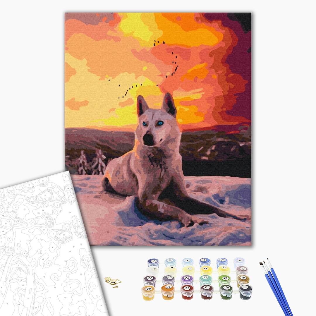 Painting by numbers Arctic wolf (BS35782)