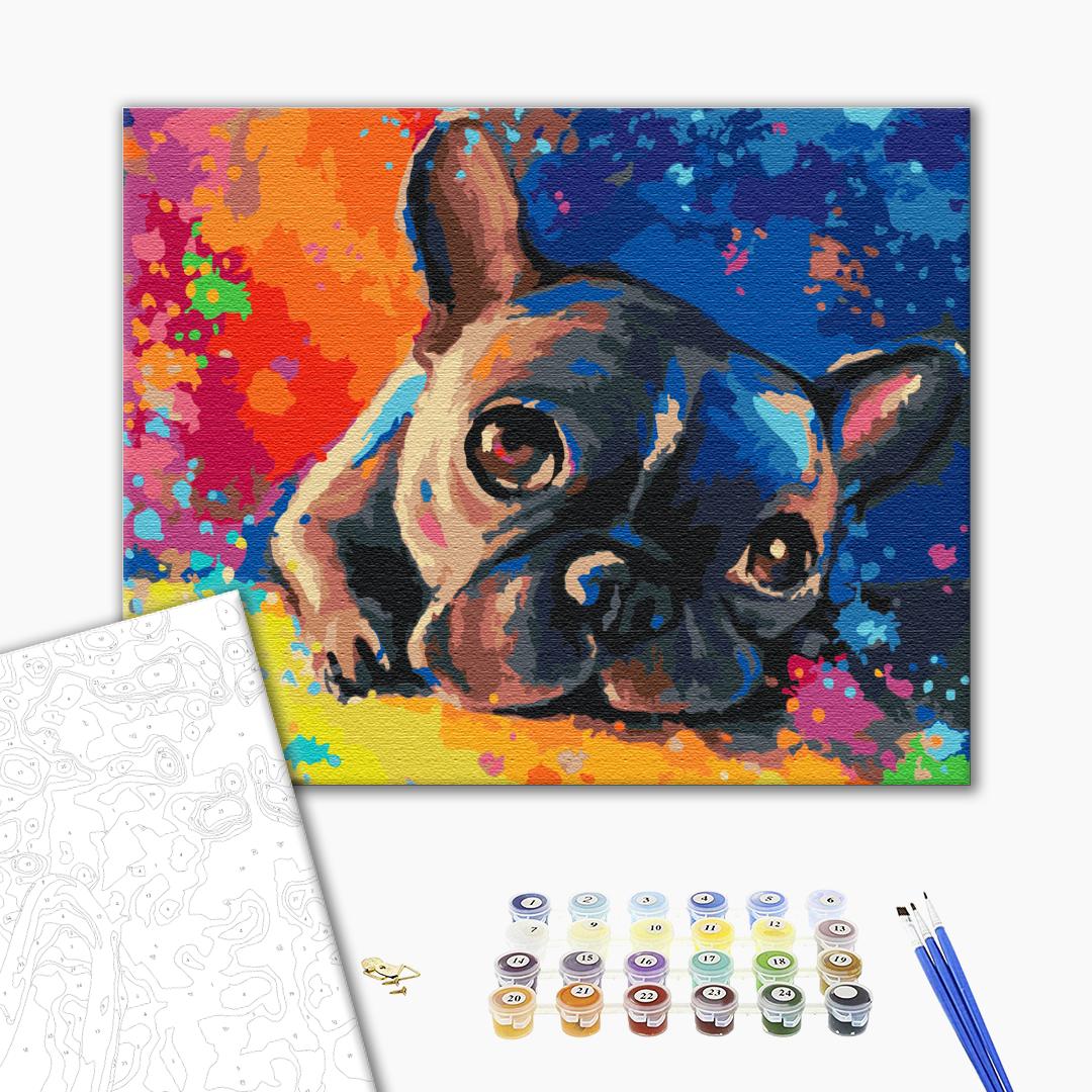 Painting by numbers Colored bulldog (BS28895)