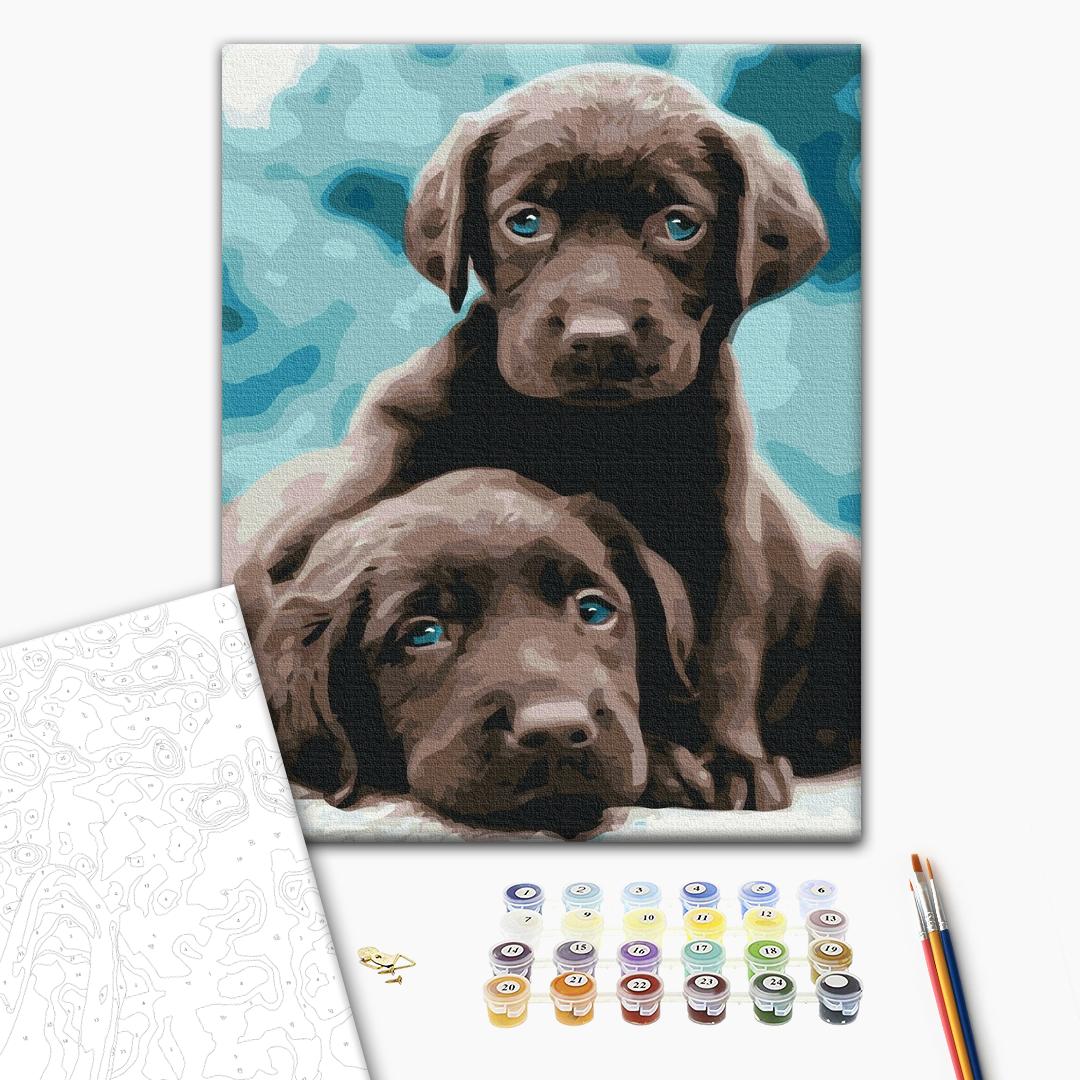 Painting by numbers Blue eyed puppies (BS53222)