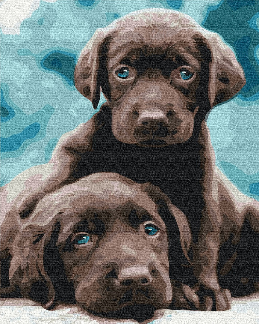 Painting by numbers Blue eyed puppies (BS53222)