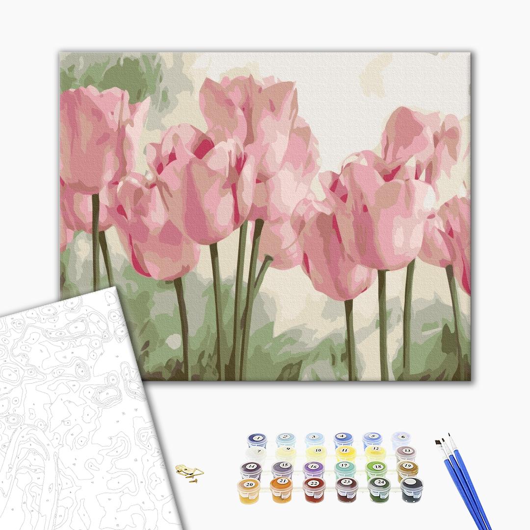 Painting by numbers Delicate tulips (BS53322)
