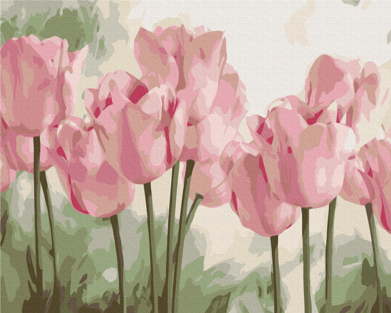 Painting by numbers Delicate tulips (BS53322)