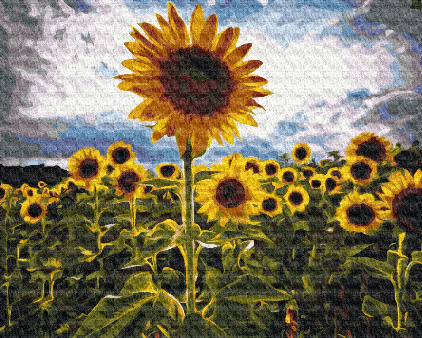 Painting by numbers Street in flowers (BS7451)