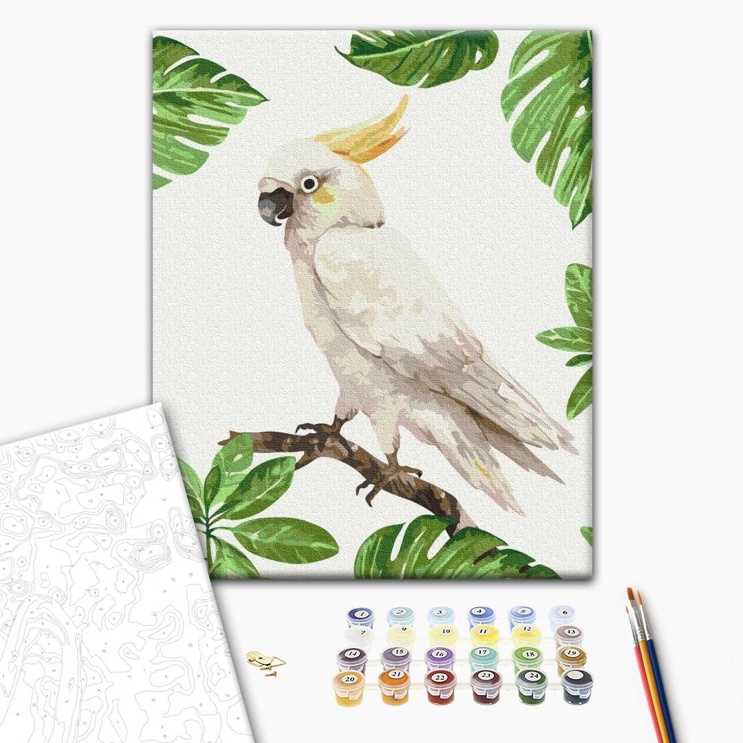Painting by numbers White cockatoo (RBS1004)