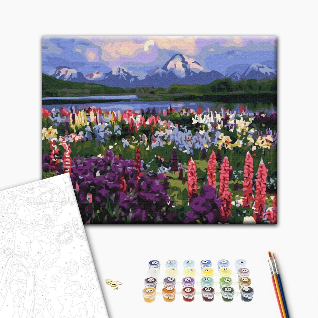 Painting by numbers Valley of wild flowers (BS21019)