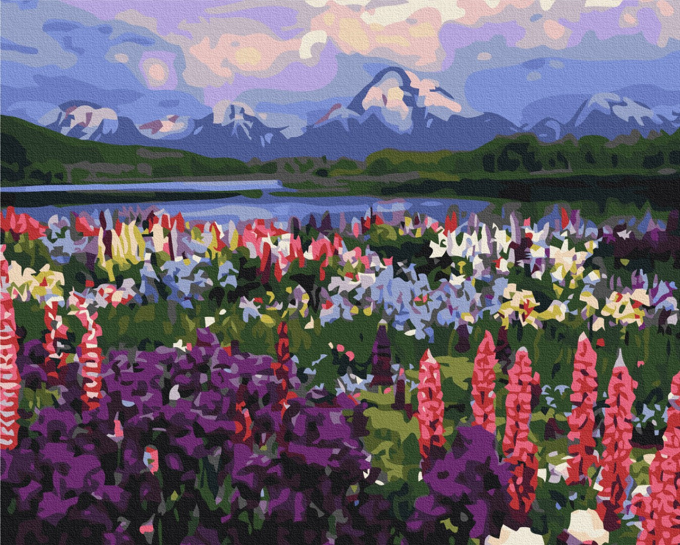 Painting by numbers Valley of wild flowers (BS21019)