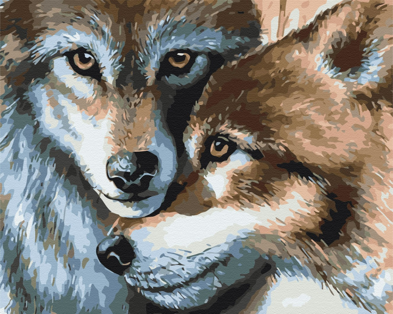 Painting by numbers Wolf couple (BS37181)