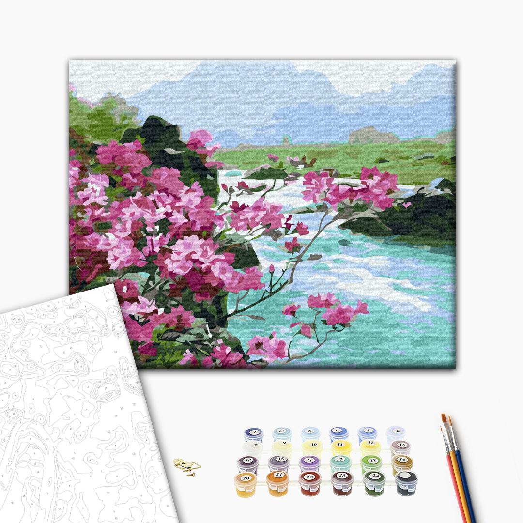 Painting by numbers Mountain flowers (RBS51394)