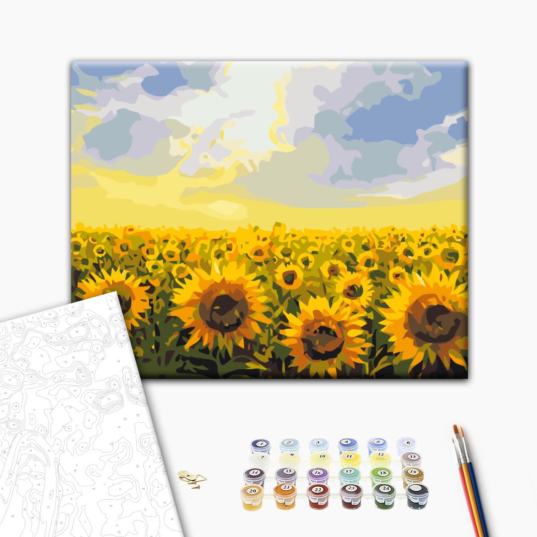 Painting by numbers Field of sunflowers (RBS135)