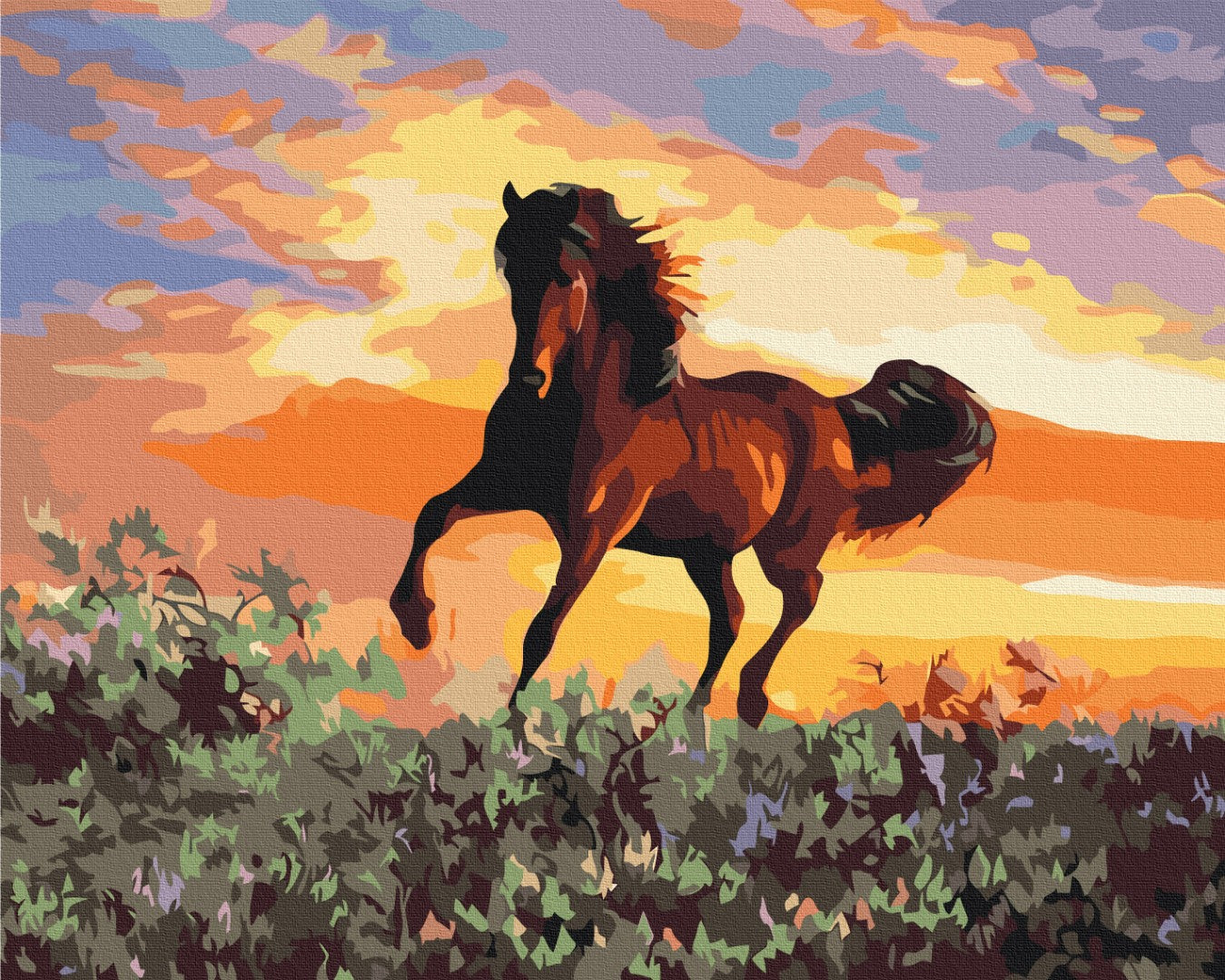 Painting by numbers Horse (BS6943)