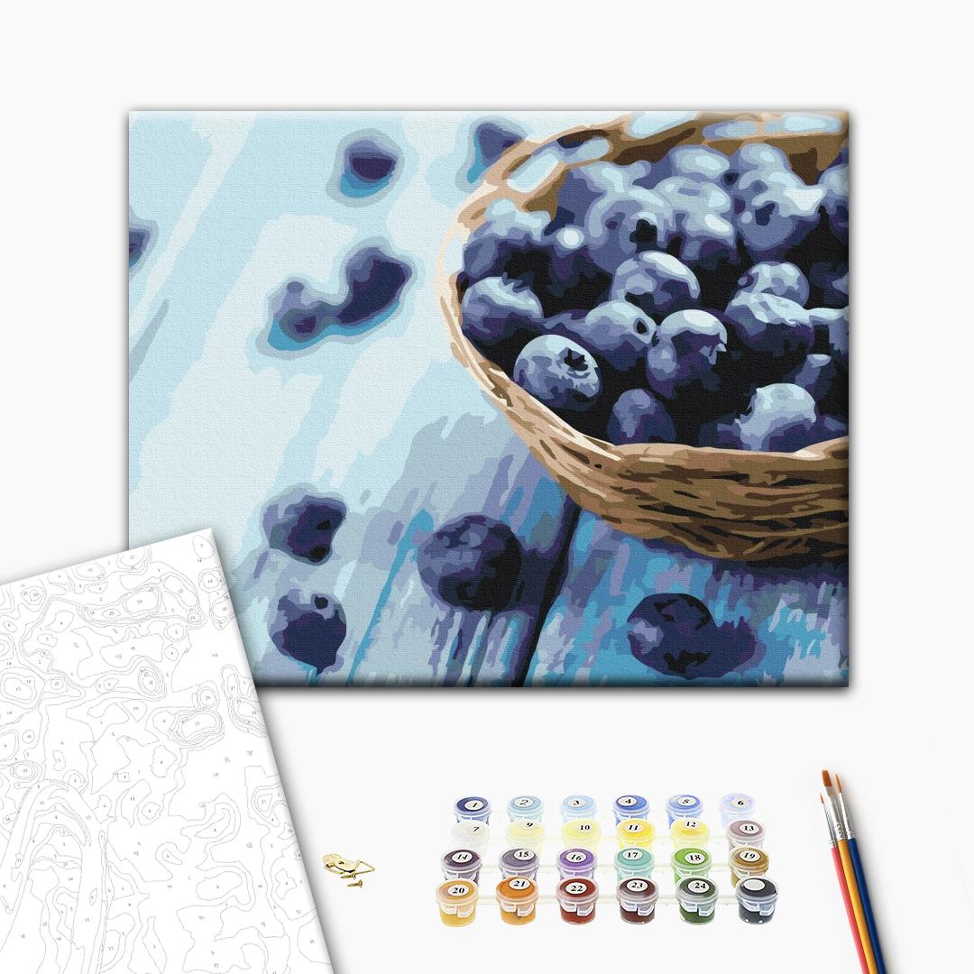 Painting by numbers Blueberry (BS31481)