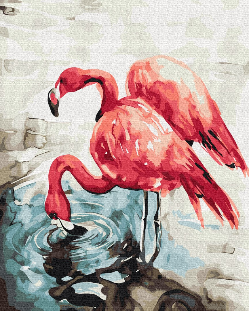 Painting by numbers Watercolor flamingos © Karolina Bundash (BS53592)