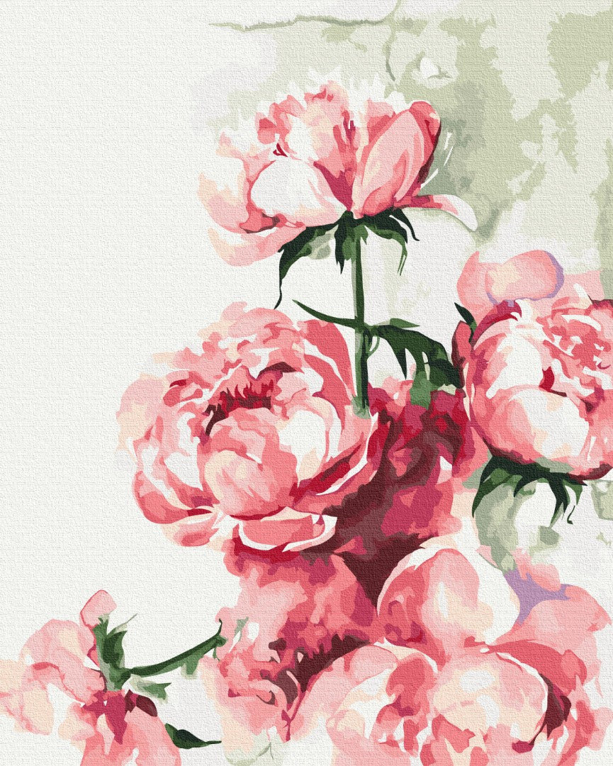 Painting by numbers Watercolor peonies ©Karolina Bundash (BS53593)