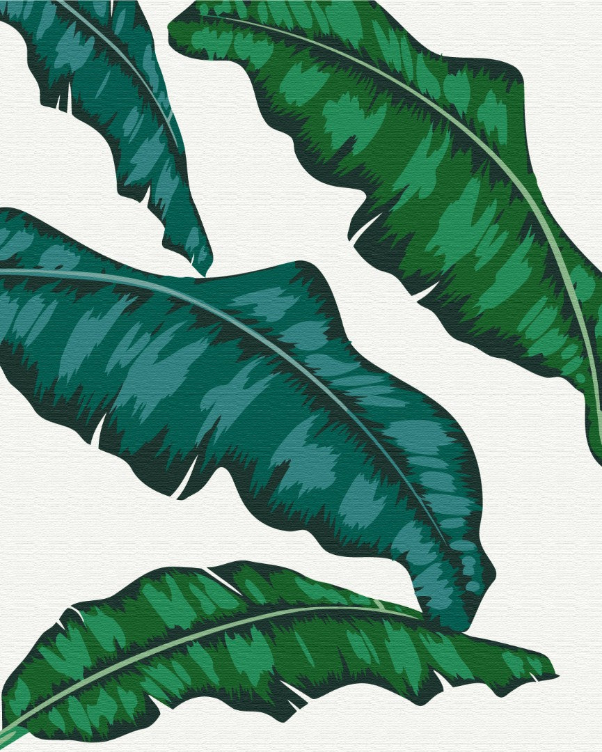 Painting by numbers Tropics No. 1 (BS53671)