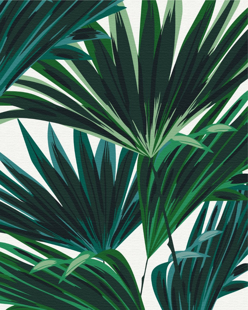 Painting by numbers Tropics No. 2 (BS53668)