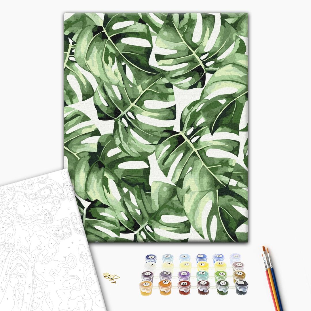 Painting by numbers Exotic monstera (BS53697)