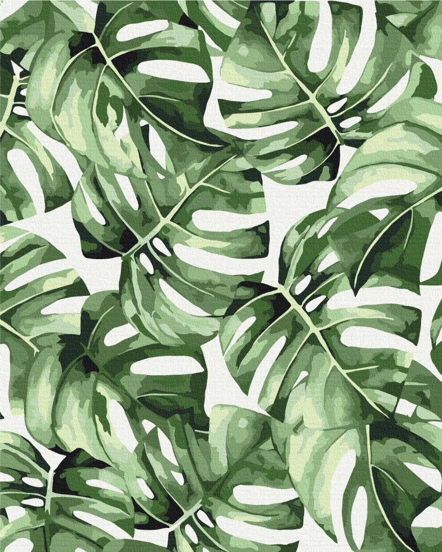 Painting by numbers Exotic monstera (BS53697)