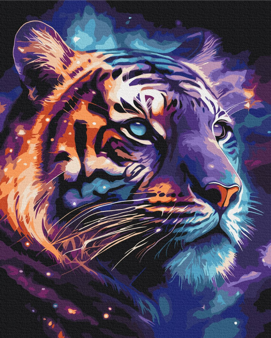 Painting by numbers Space tiger (BS53692)