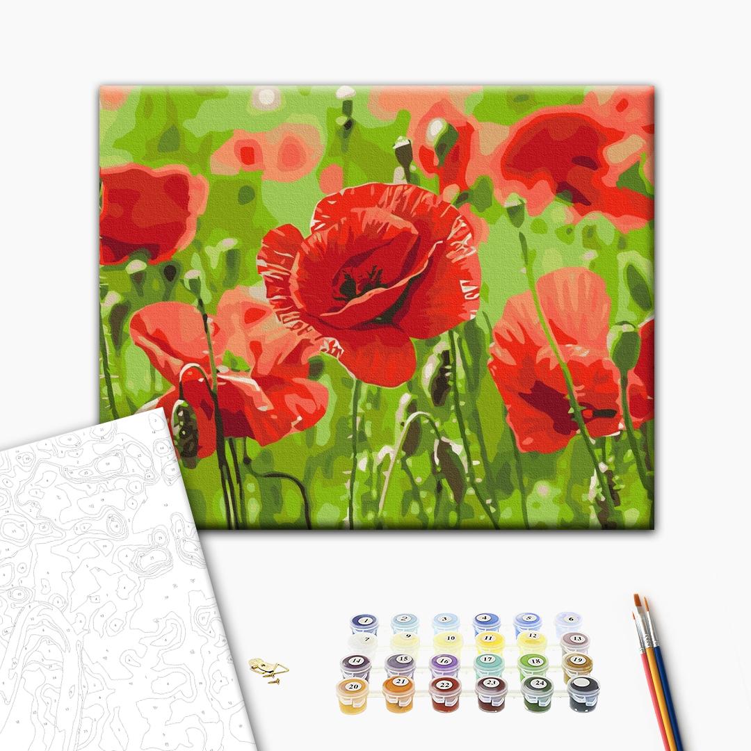 Painting by numbers Red poppies (BS53703)