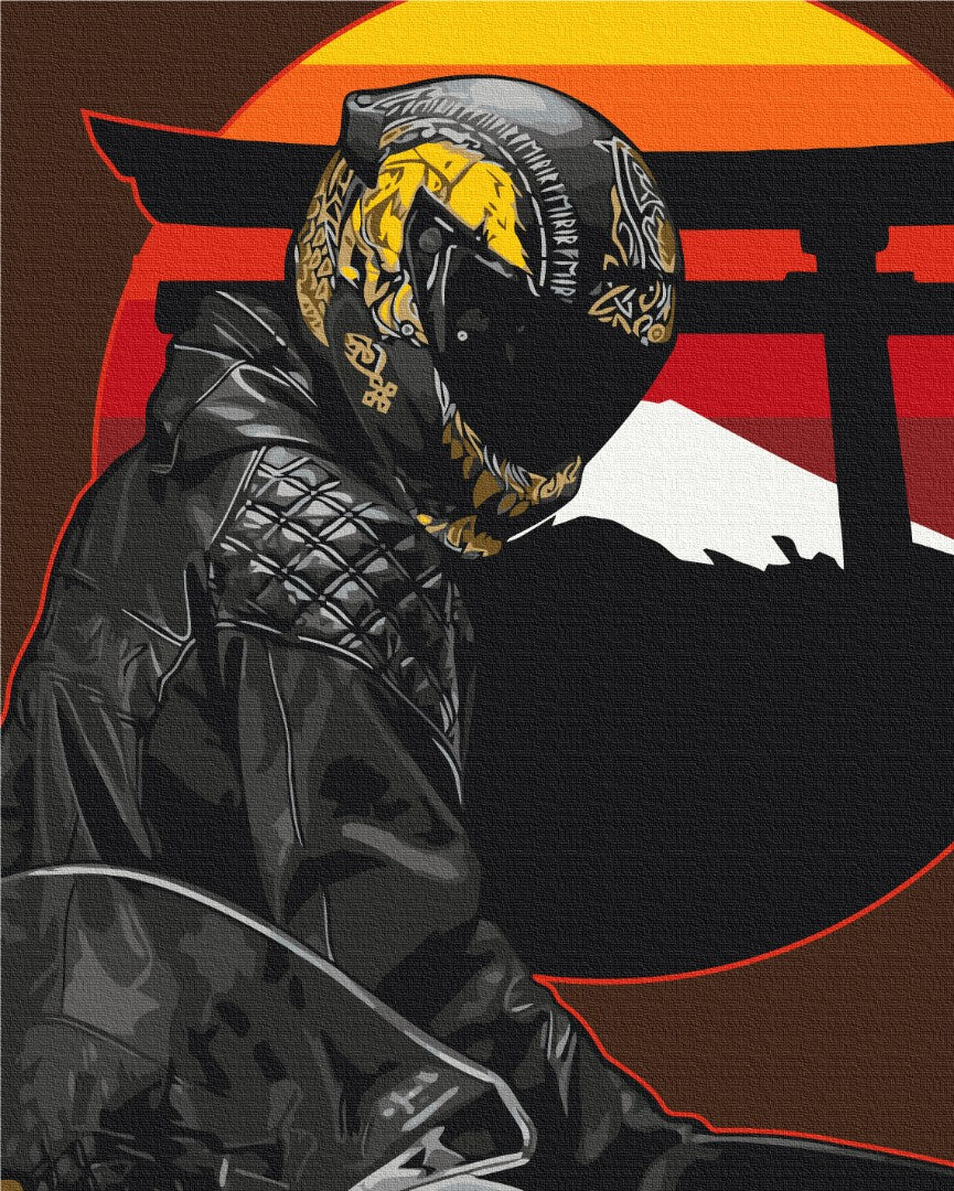 Painting by numbers Eastern racer (BS53711)