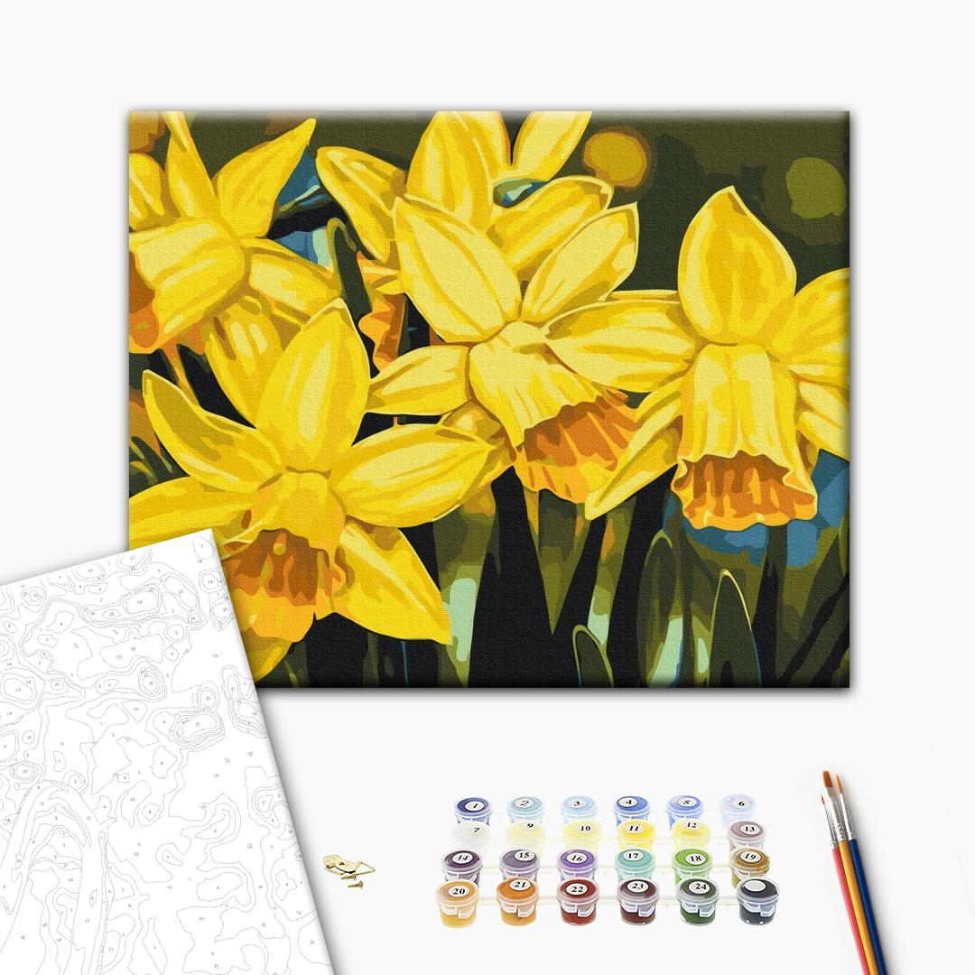 Painting by numbers Daffodils © Anastasiia Osmolovska (BS53724)