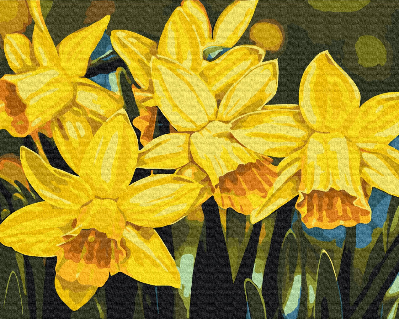 Painting by numbers Daffodils © Anastasiia Osmolovska (BS53724)