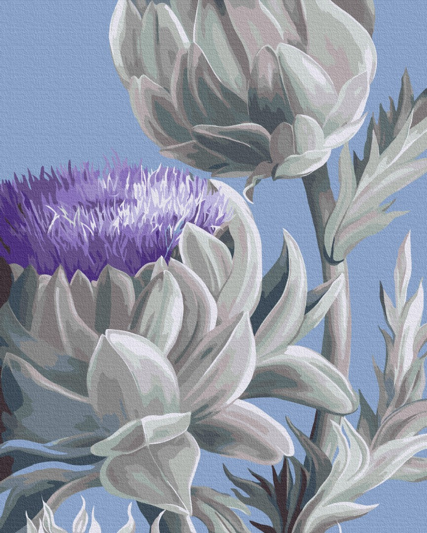 Painting by numbers Artichokes © Yana Biluhina (BS53758)