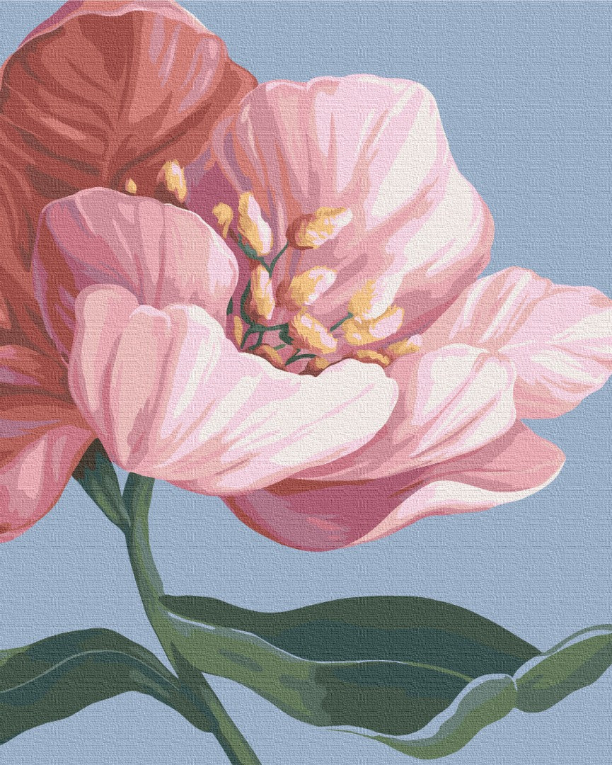 Painting by numbers Blosom © Yana Biluhina (BS53759)