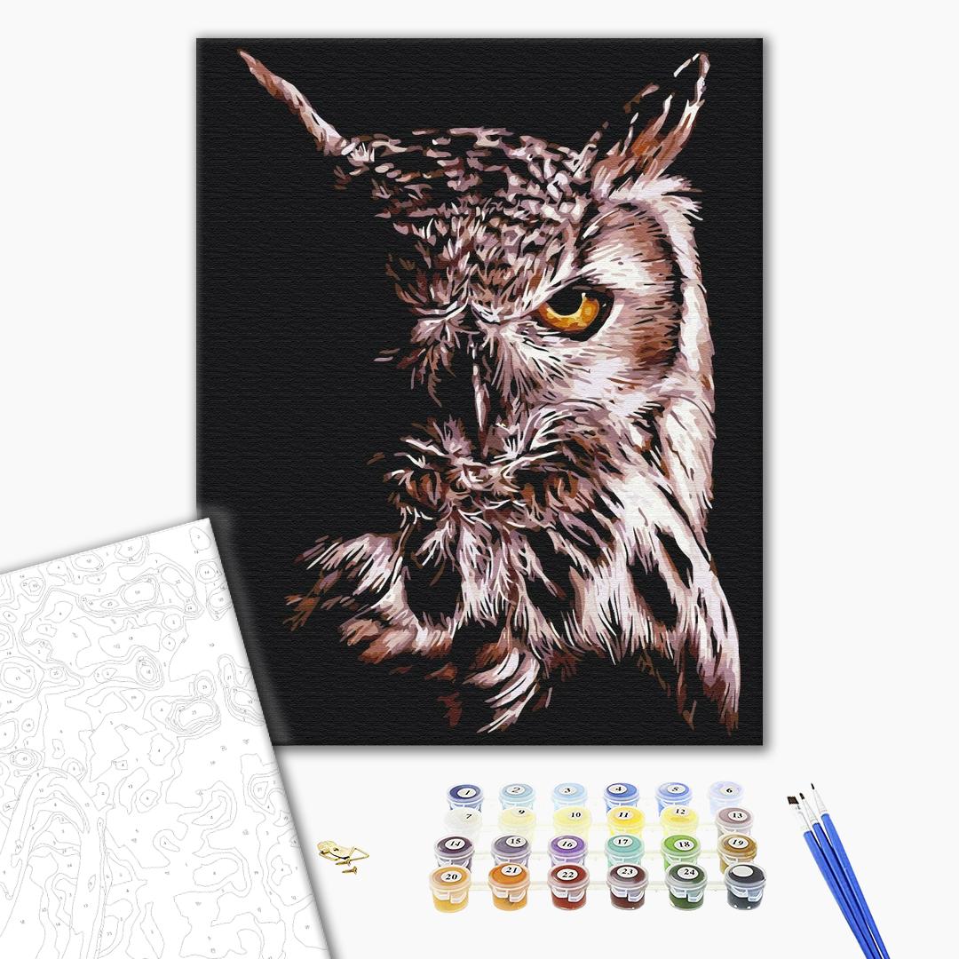 Painting by numbers Owl (BS51829)