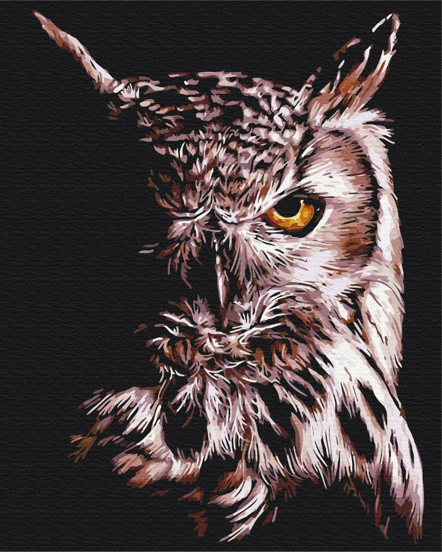 Painting by numbers Owl (BS51829)