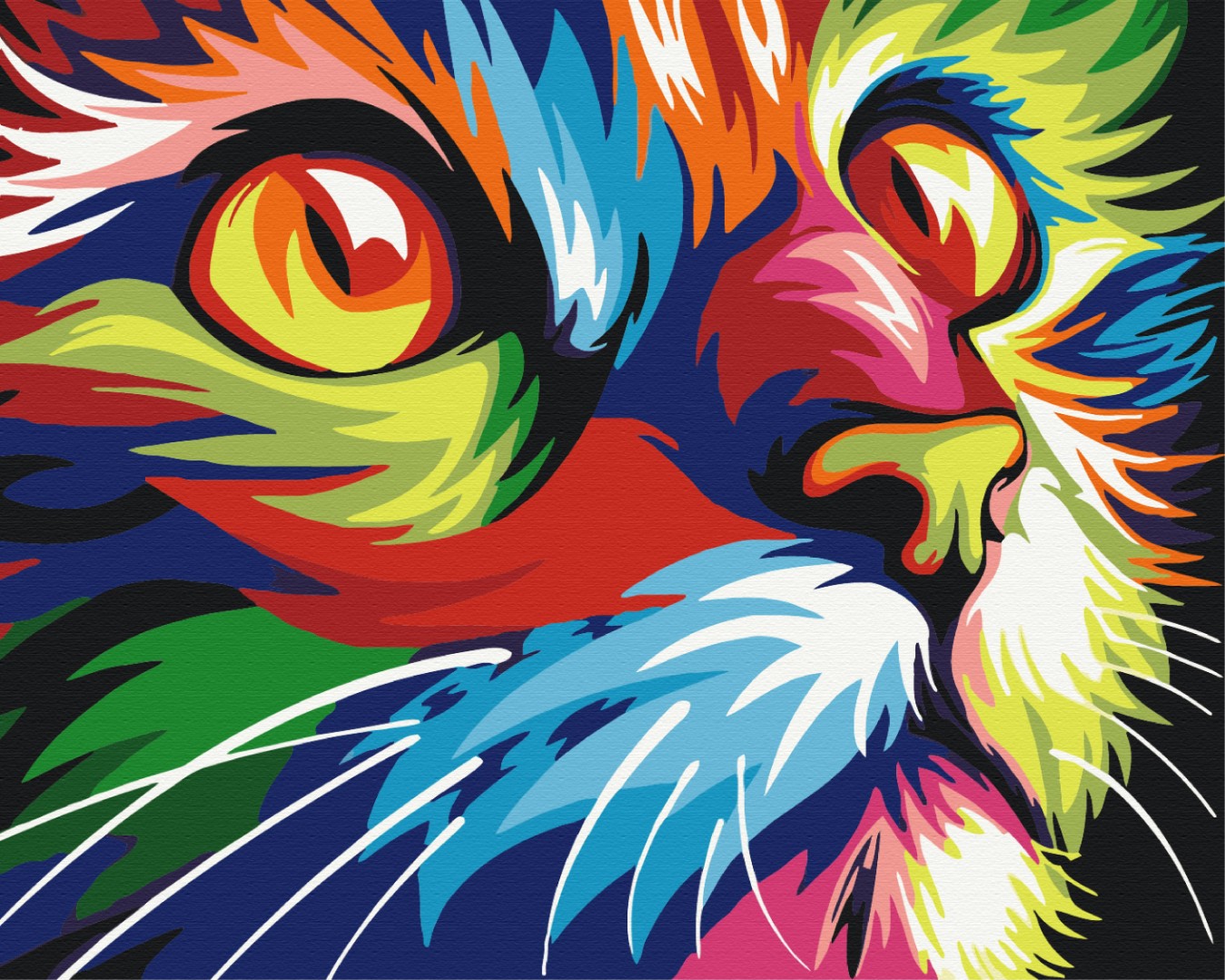 Painting by numbers Rainbow cat (BS26192)