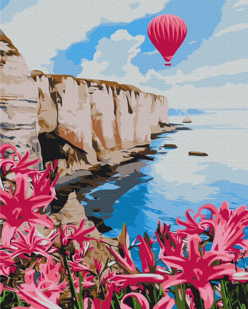 Painting by numbers Pink balloon (BS53784)