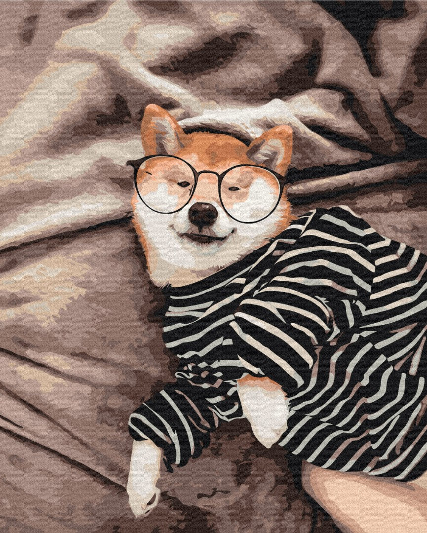 Painting by numbers Smart dog @rocky.and.rudy (BS36658)