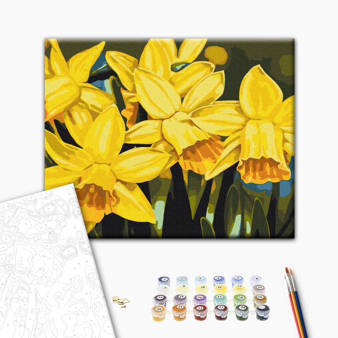 Painting by numbers Daffodils © Anastasiia Osmolovska (RBS53724)