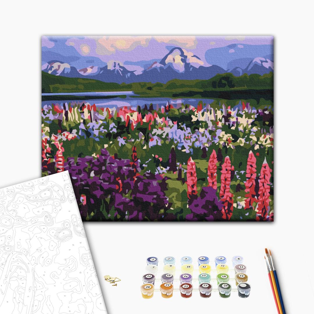 Painting by numbers Valley of wild flowers (RBS21019)