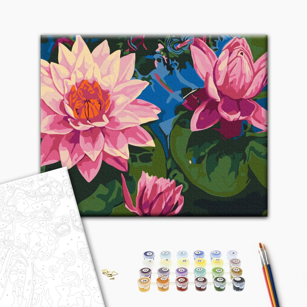 Painting by numbers Water lily (RBS7282)