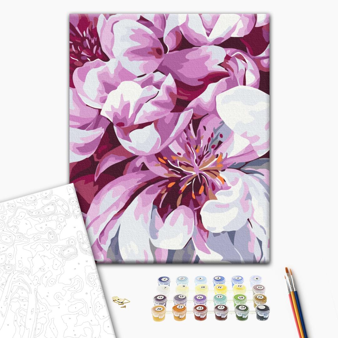 Painting by numbers Color in macro photography (RBS51712)