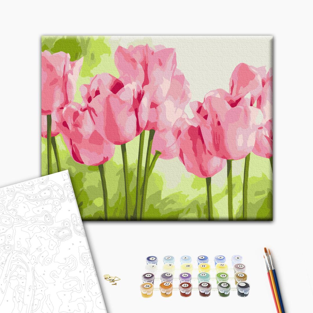 Painting by numbers Delicate tulips (RBS31435)