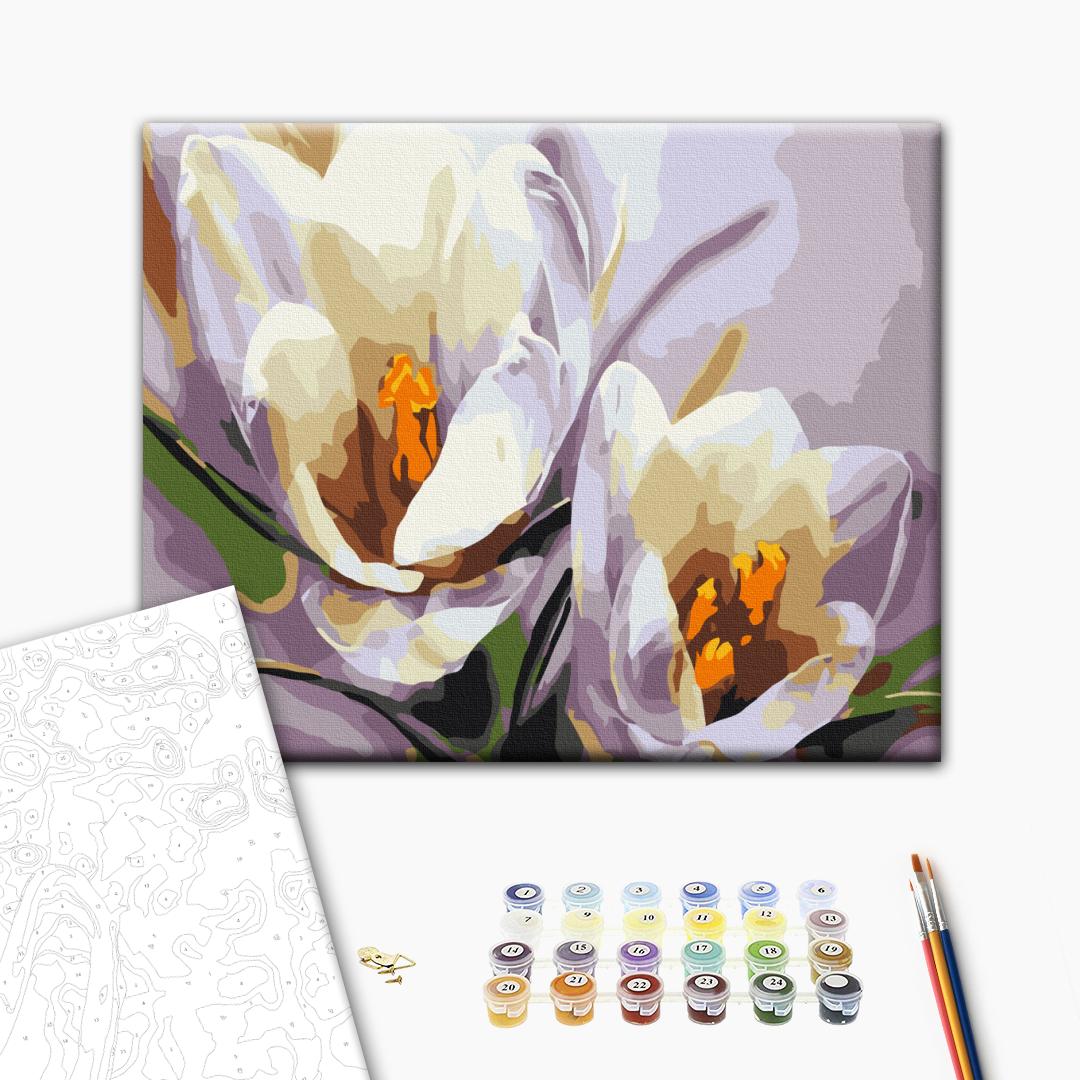 Painting by numbers Crocuses (RBS5828)