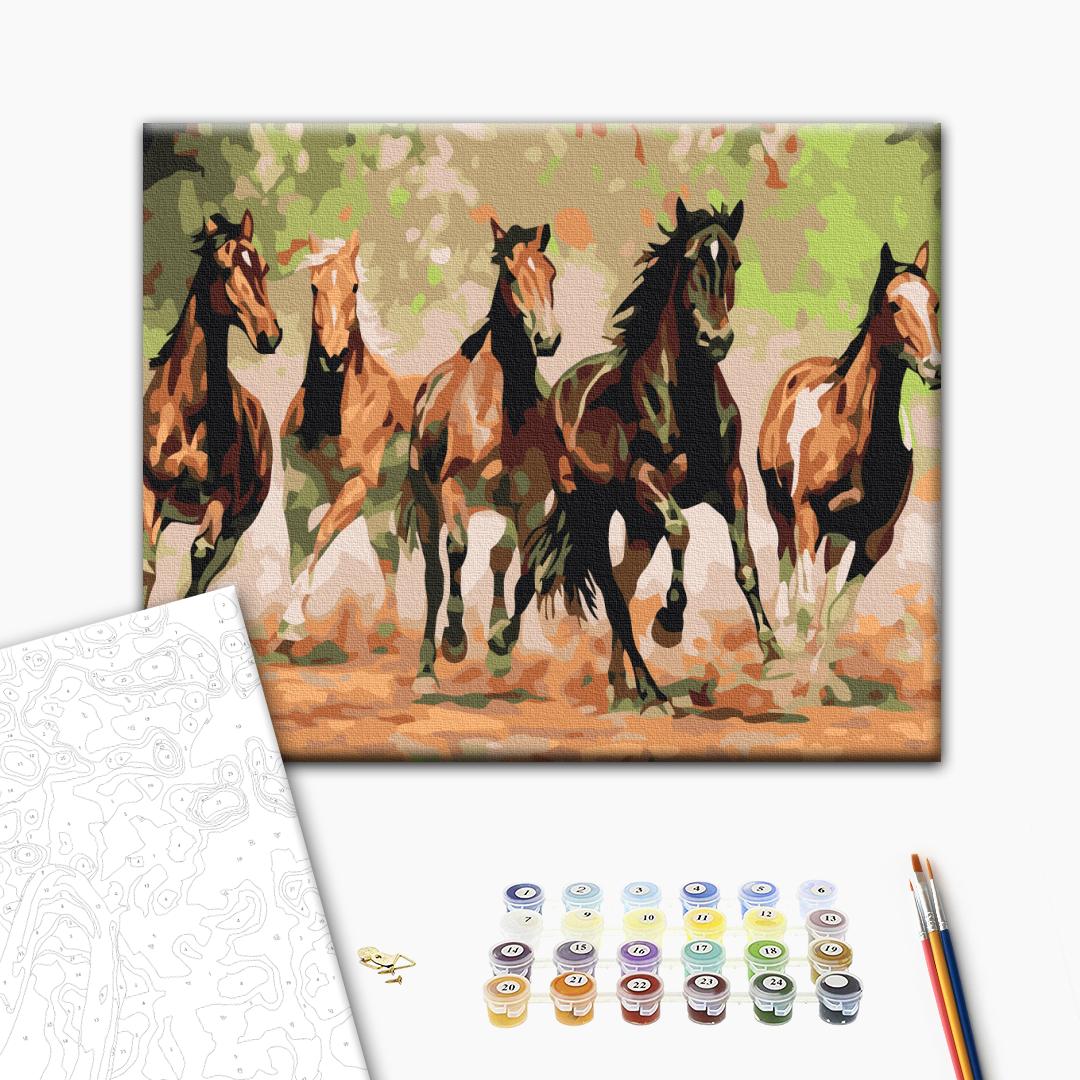 Painting by numbers Herd of horses (RBS8288)