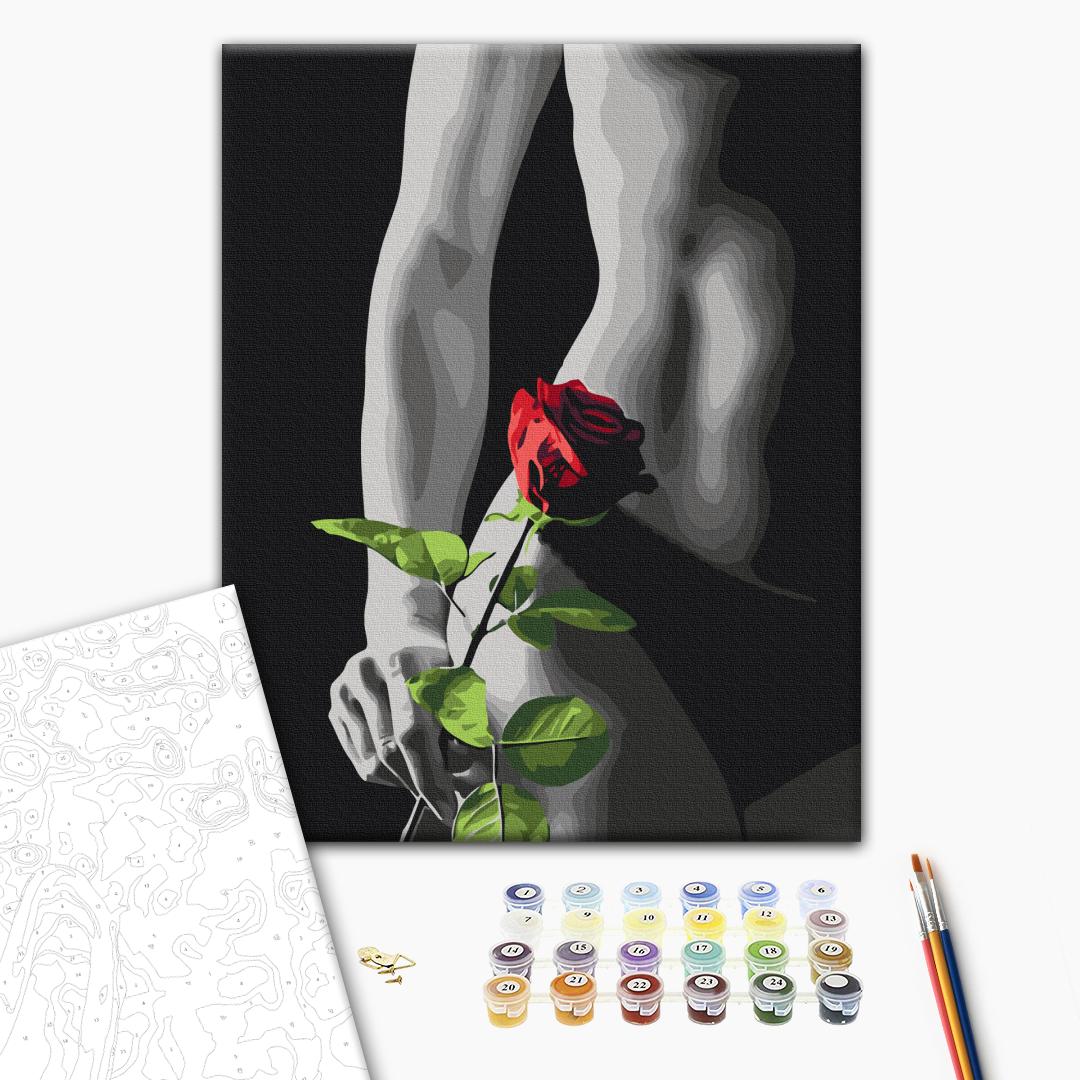 Painting by numbers Elegant accent (BS53919)
