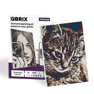 QBRIX A4 Vintage Personalised Diamond painting mosaic art